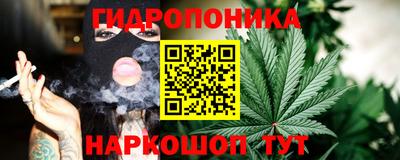 молекула духа Коммунар