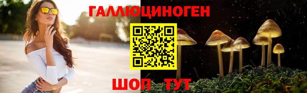 Коркино  Псилоцибиновые грибы Cubensis  что такое   Вход с VPN 
